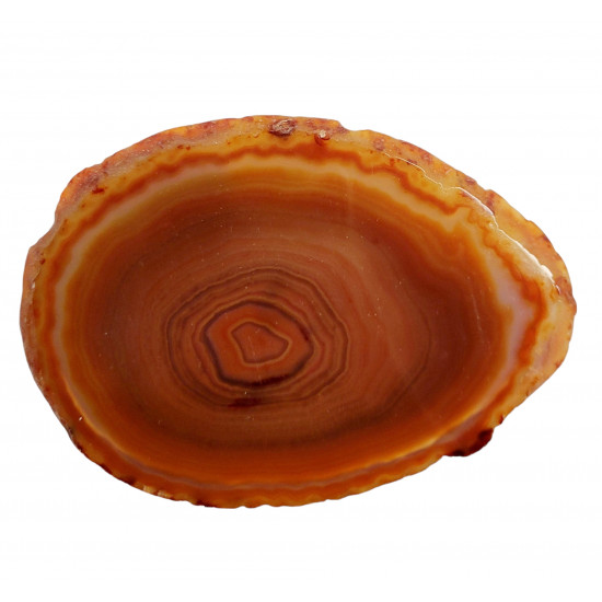 orange agate slice