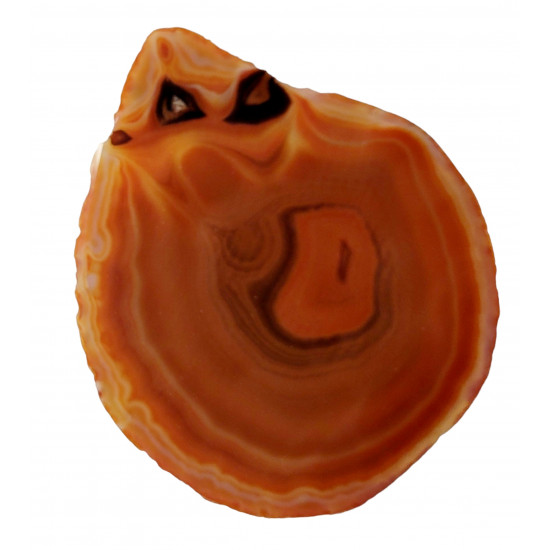 orange agate slice