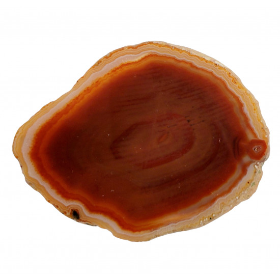orange agate slice