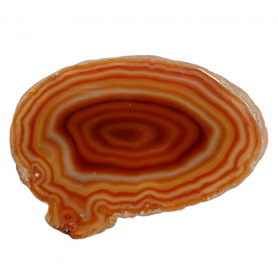 orange agate slice