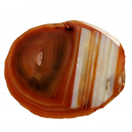 orange agate slice