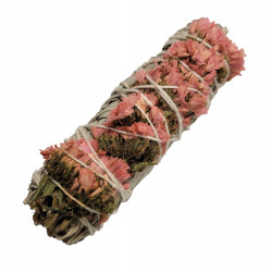 Pink daisy sage