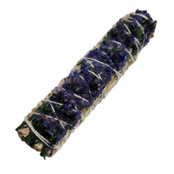 Blue daisy sage