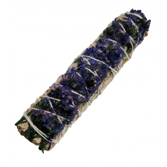 Blue daisy sage