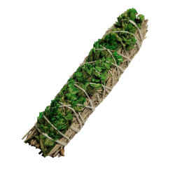 Green daisy sage