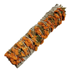 Orange daisy sage