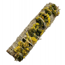 Yellow daisy sage