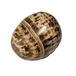aragonite