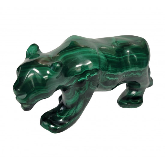panther malachite panther malachite