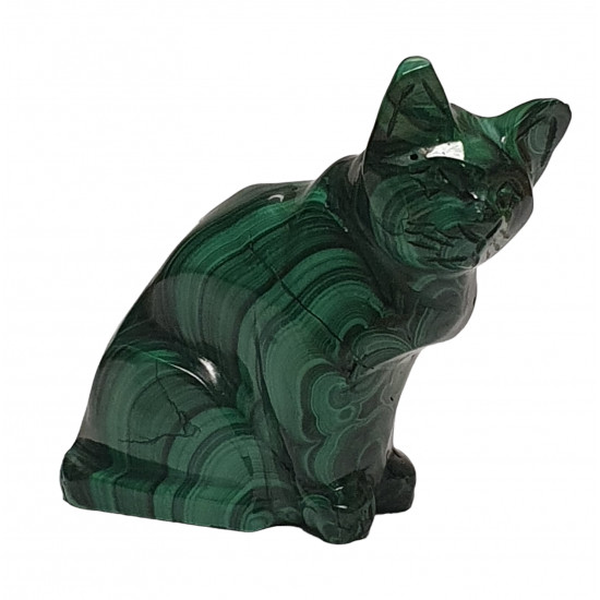 cat malachite