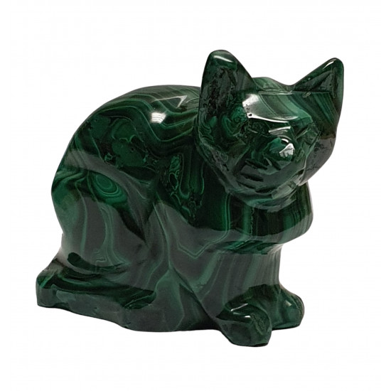 cat malachite