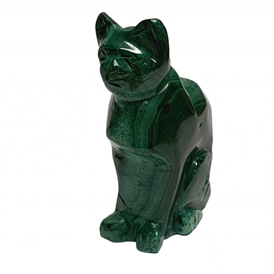 cat malachite