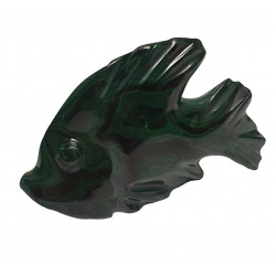 poisson malachite