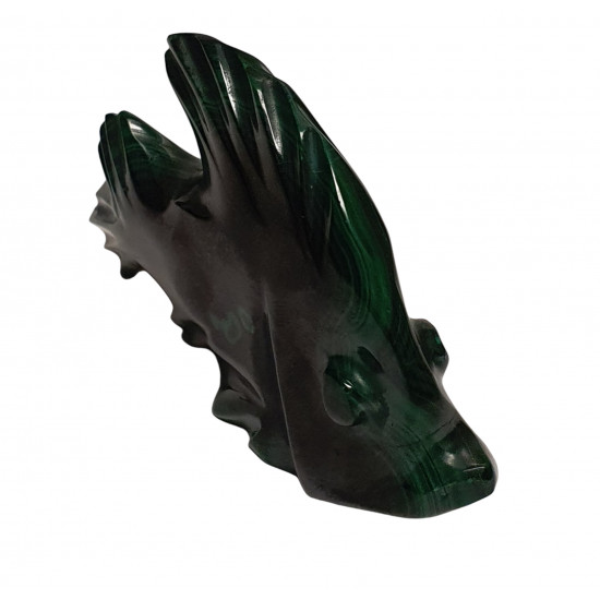 fish malachite
