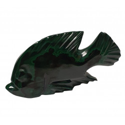 poisson malachite