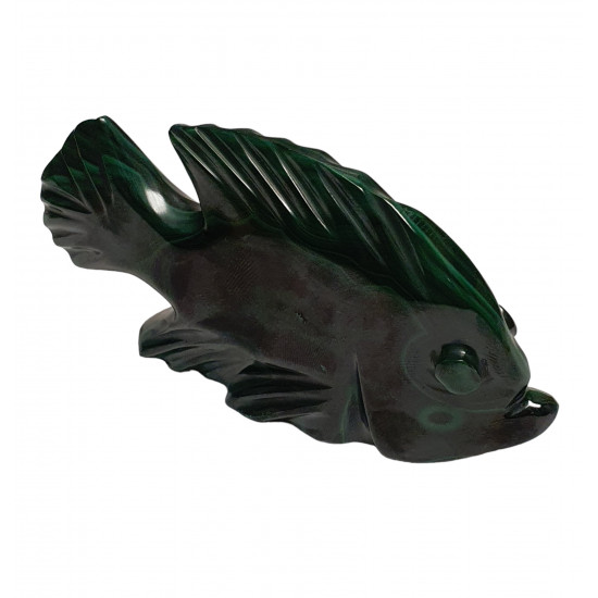 fish malachite