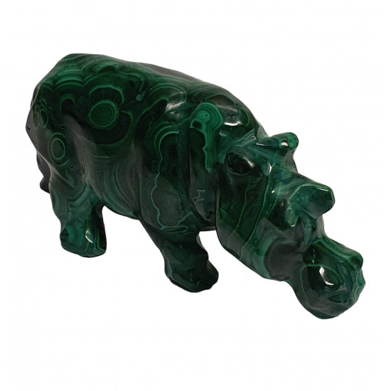 hippopotamus malachite