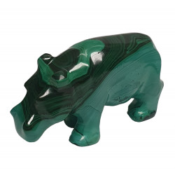 hippopotamus malachite