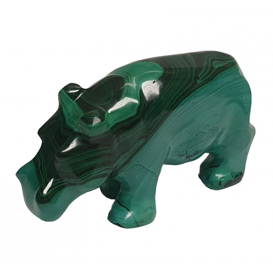hippopotamus malachite