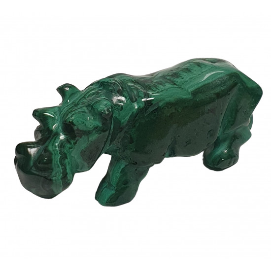 hippopotamus malachite