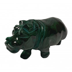 hippopotamus malachite