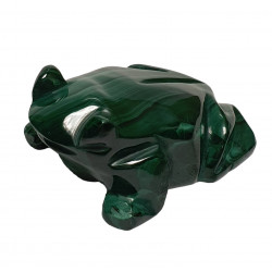 frog malachite
