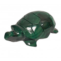 tortue malachite