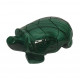 turtle malachite