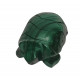 turtle malachite