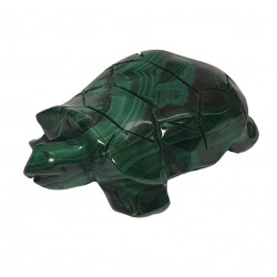 tortue malachite