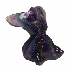 Phyllali fluorine pokemon