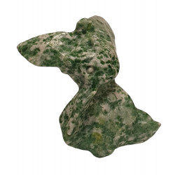 Phyllali agate arbre pokemon