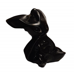 Phyllali onyx noire pokemon
