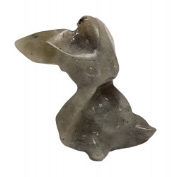 Phyllali labradorite pokemon