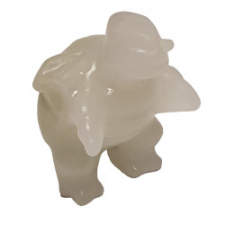 blatoise aragonite pokemon