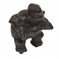 blatoise larvikite pokemon