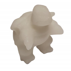 blatoise snow quartz pokemon