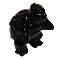 blatoise black onyx pokemon