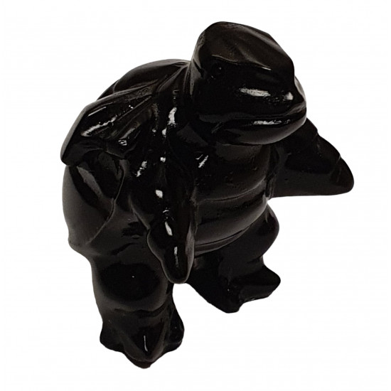 blatoise black onyx pokemon