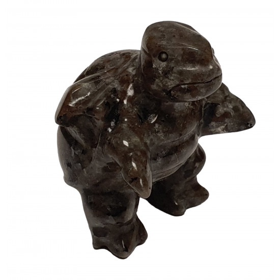 blatoise yooperlite pokemon