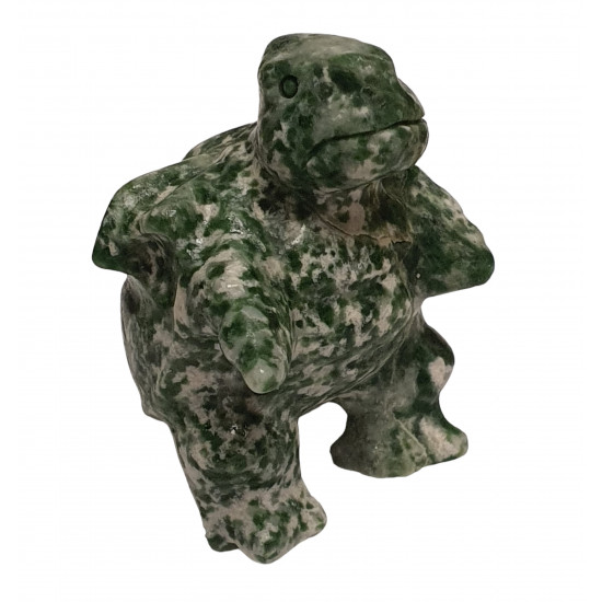 blatoise tree agate pokemon