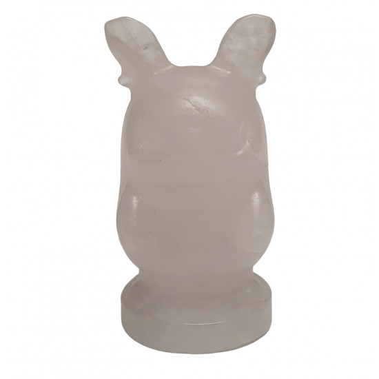 morpeko aragonite pokemon