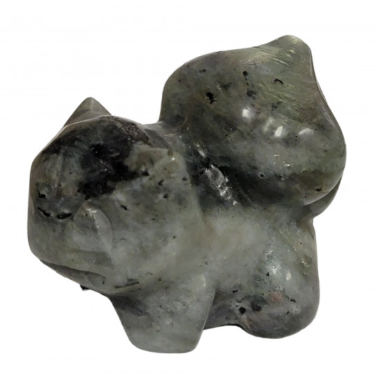 bulbasaur labradorite pokemon