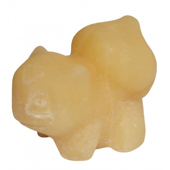 bulbasaur orange calcite pokemon