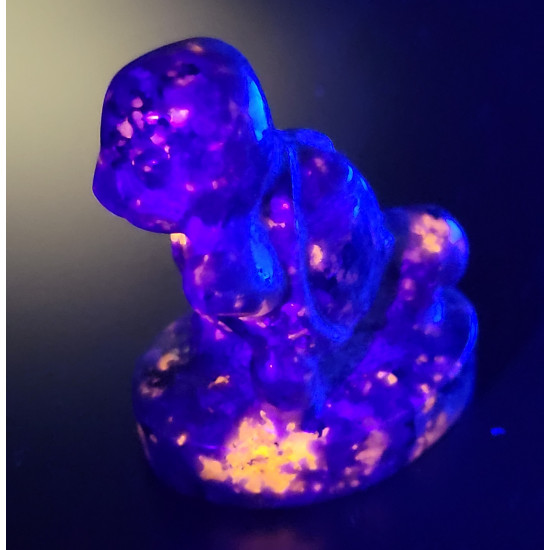 squirtel yooperlite pokemon