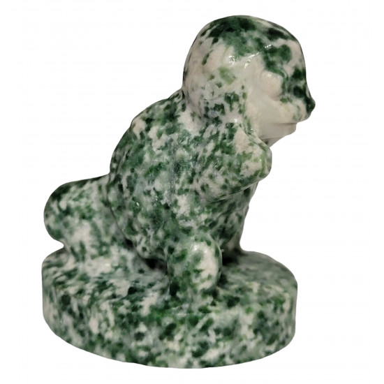 squirtel tree agate pokemon