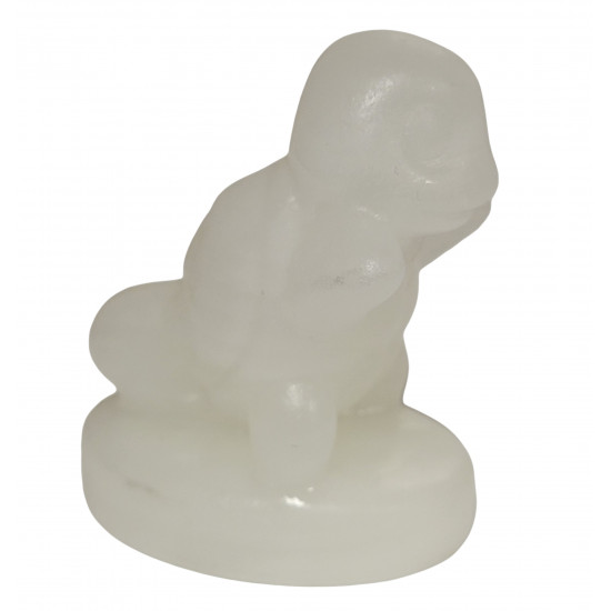 squirtel aragonite pokemon