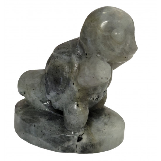 squirtel labradorite pokemon