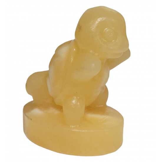 squirtel orange calcite pokemon