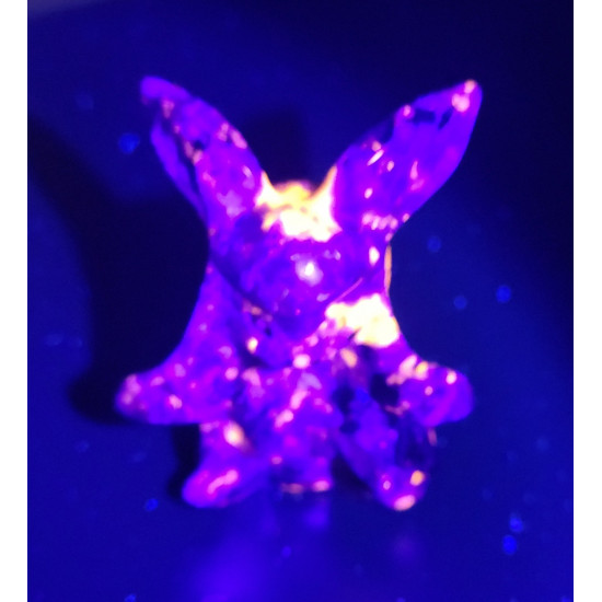 glaceon Yooperlite pokemon